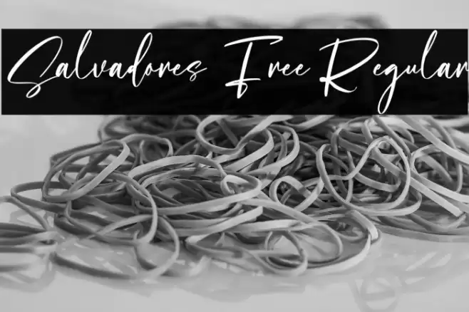 Salvadores Free Regular Font examples