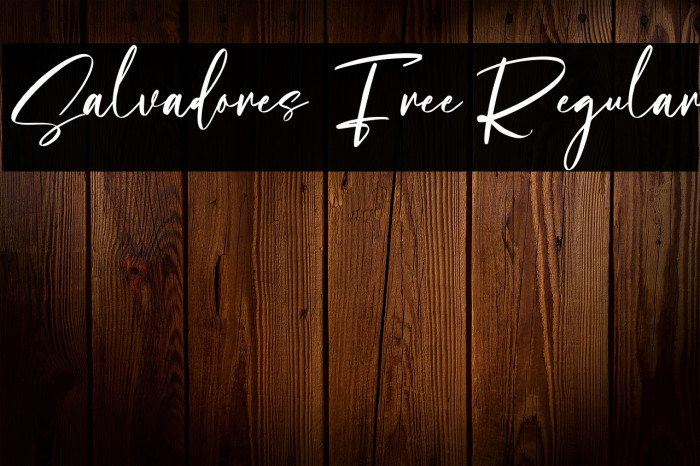 Salvadores Free Regular Example 3