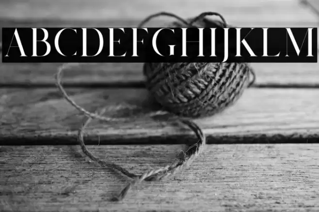 Salvalyn Font examples