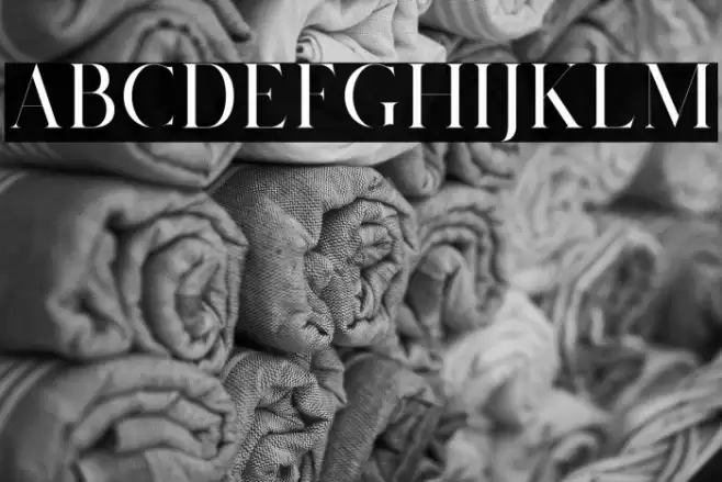 Salvalyn Font examples