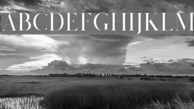 Salvalyn Font examples