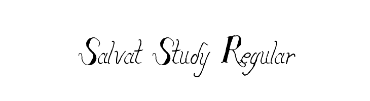 Salvat Study Regular 