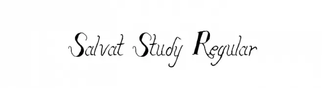 Salvat Study Regular  Frei Schriftart Herunterladen