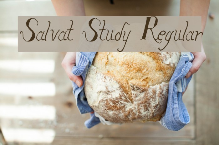 Salvat Study Regular Fonte examples