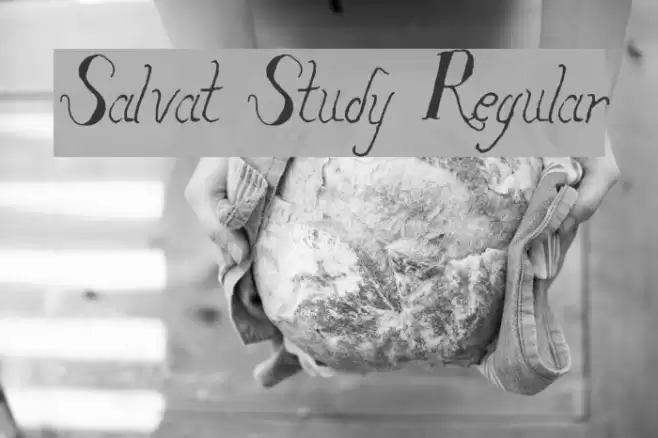 Salvat Study Regular Font examples