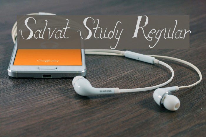 Salvat Study Regular Fonte examples
