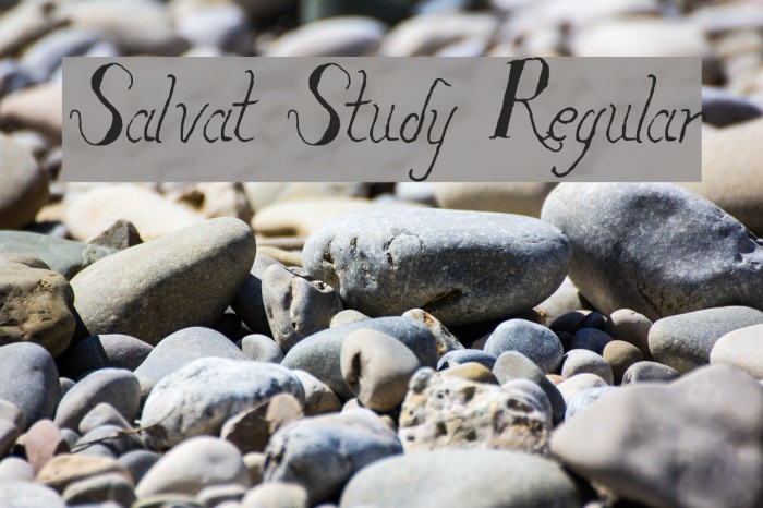 Salvat Study Regular Fonte examples