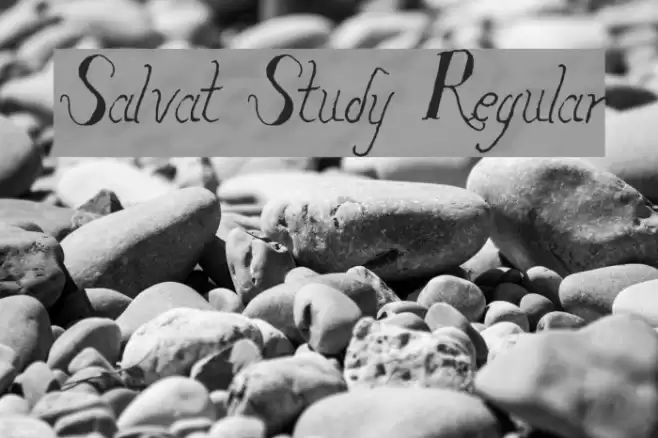 Salvat Study Regular Font examples