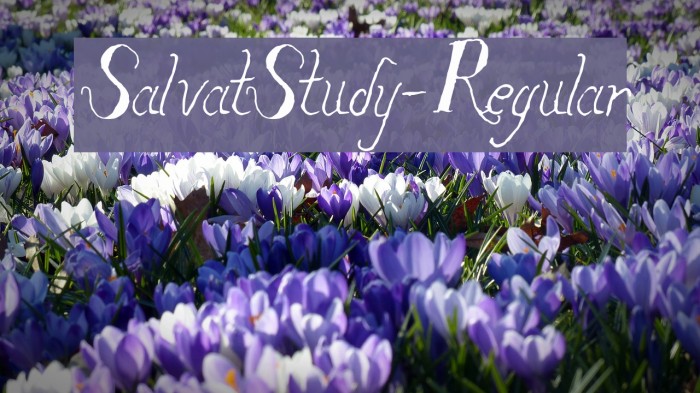 SalvatStudy-Regular Font examples