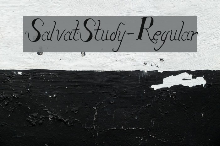 SalvatStudy-Regular Font examples