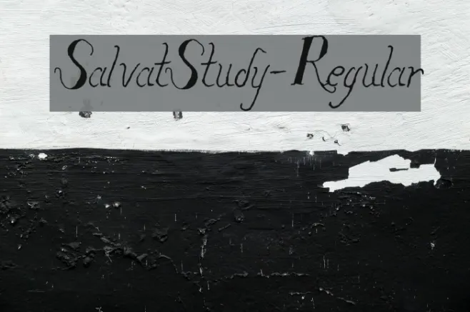 SalvatStudy-Regular Example 3