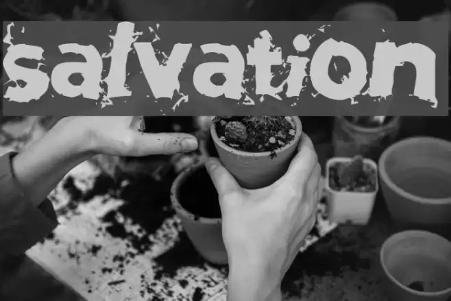 Salvation Schriftart examples