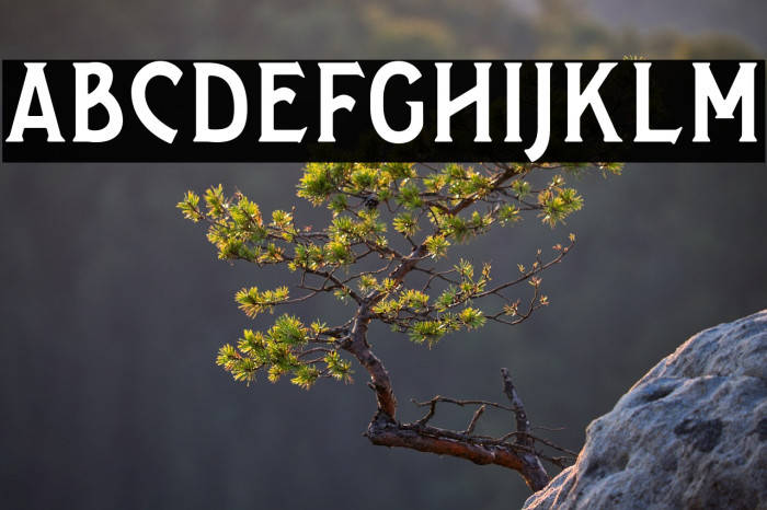 SalveationSerif Example 2