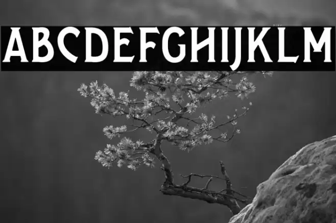 SalveationSerif Font examples