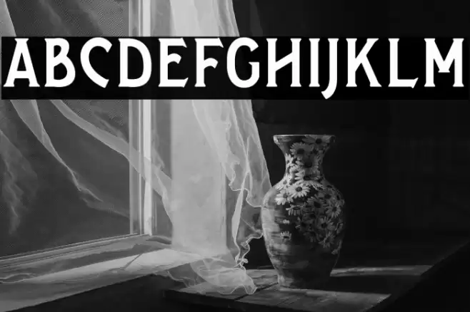 SalveationSerif Font examples