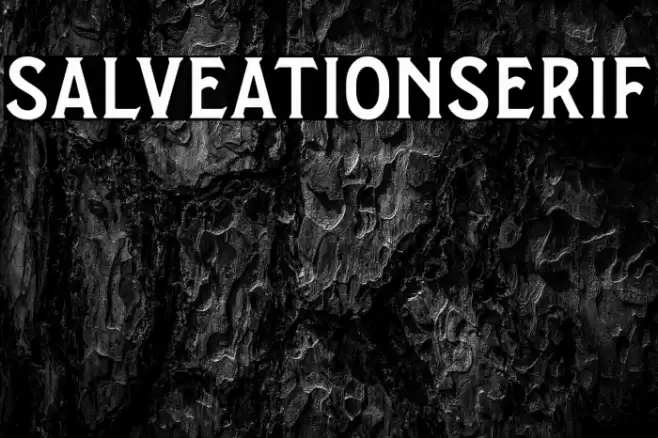 SalveationSerif Font examples