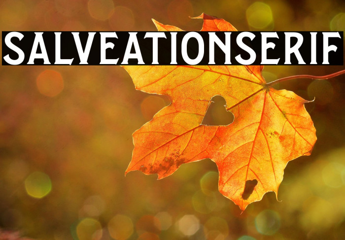 SalveationSerif Example 3