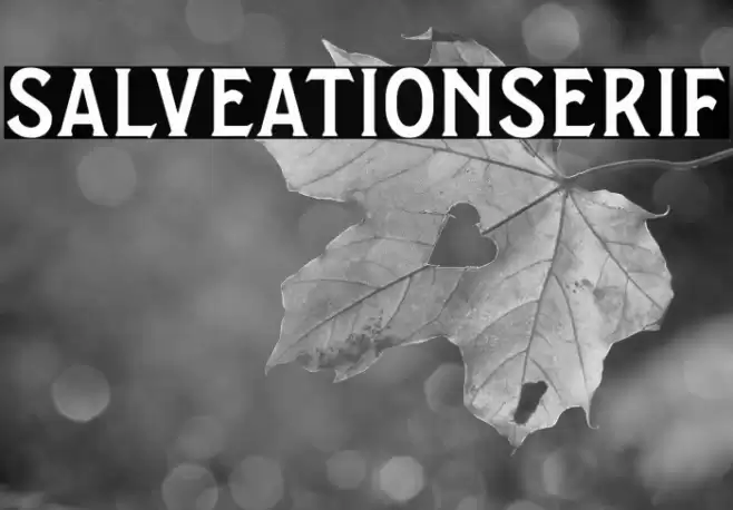 SalveationSerif Font examples