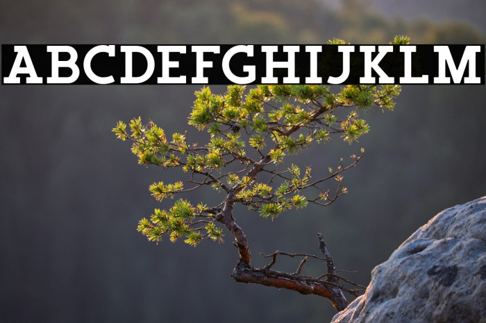 SalveationSlab Example 3