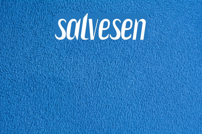 Salvesen Example 1