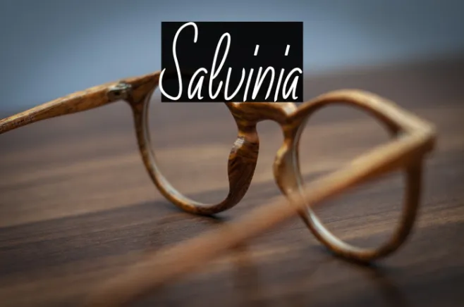 Salvinia Example 1