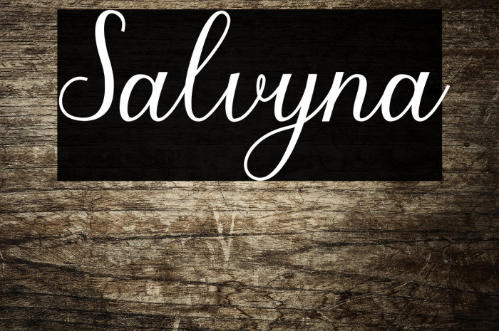 Salvyna Example 1