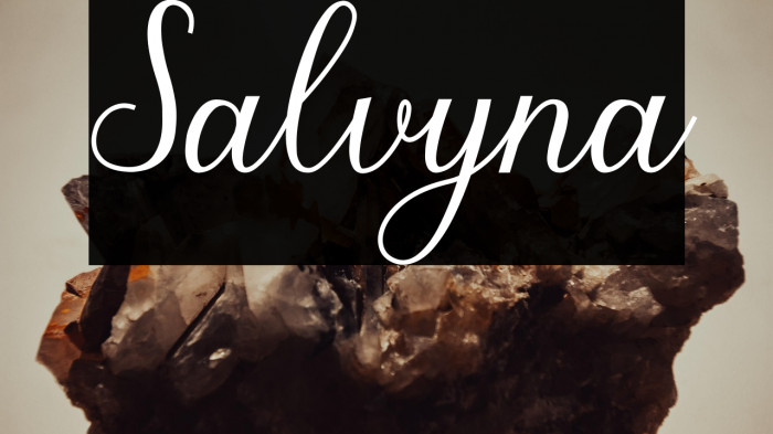 Salvyna Example 2