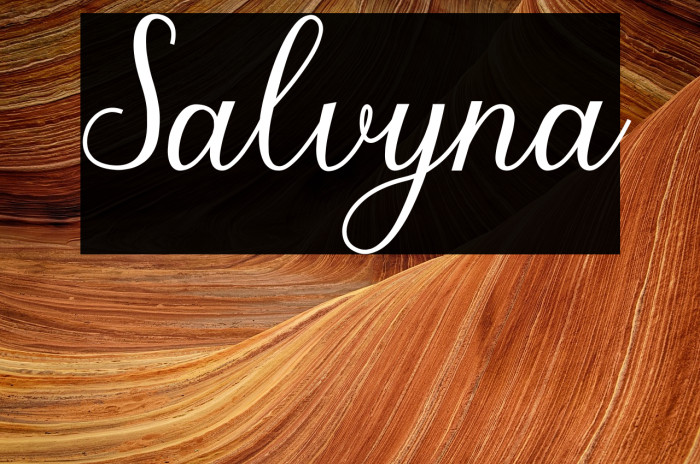 Salvyna Example 3