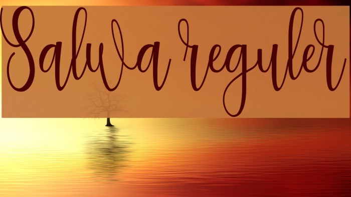 Salwa reguler Font examples