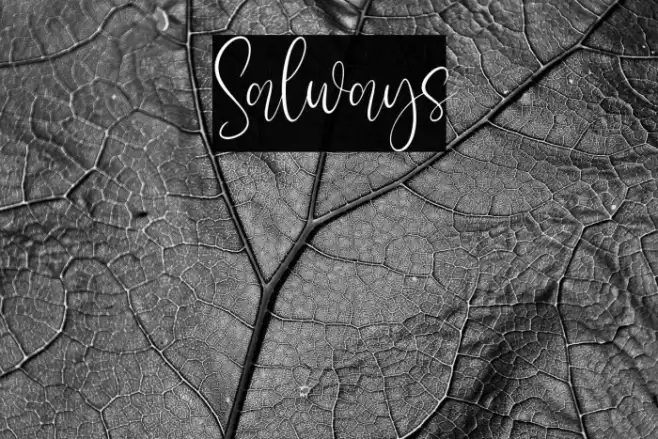 Salways फ़ॉन्ट examples