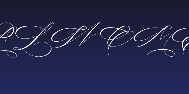 Salwomen Social Header