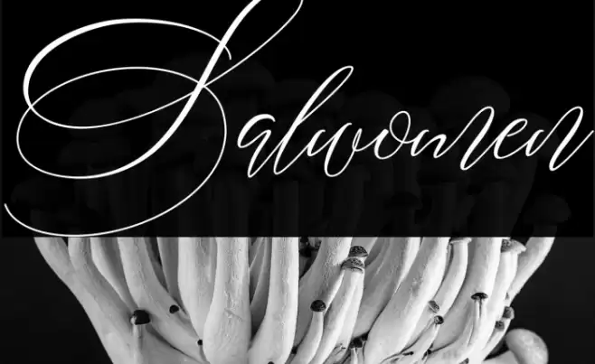 Salwomen Font examples