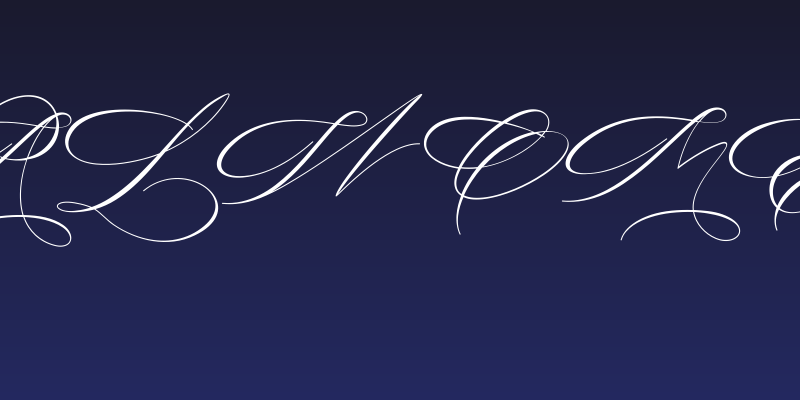 Salwomen Social Header