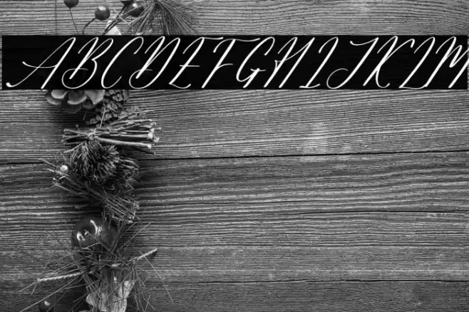 Salyatori Quinbella DEMO VERSIO Italic Caratteri examples