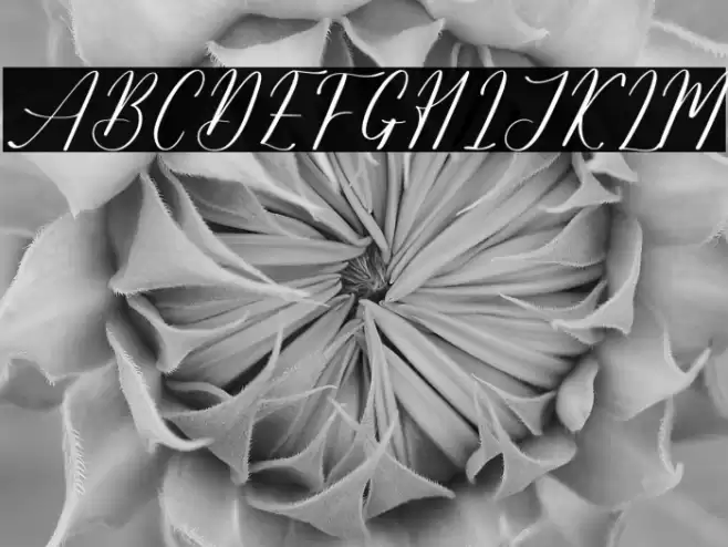 Salyatori Quinbella DEMO VERSIO Caratteri examples