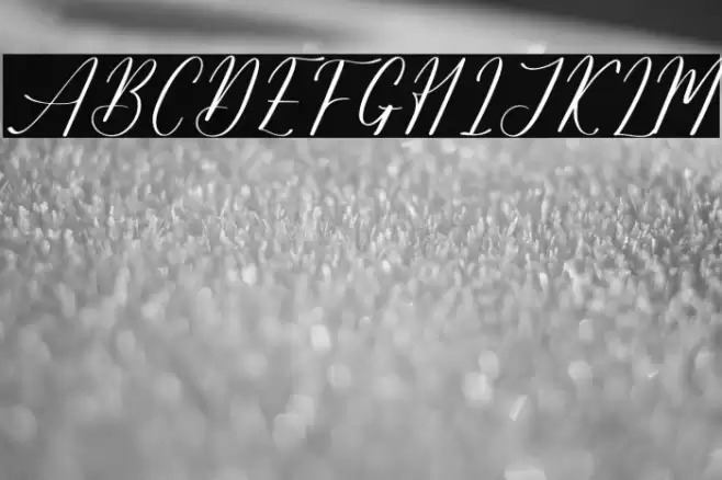 Salyatori Quinbella DEMO VERSIO Caratteri examples