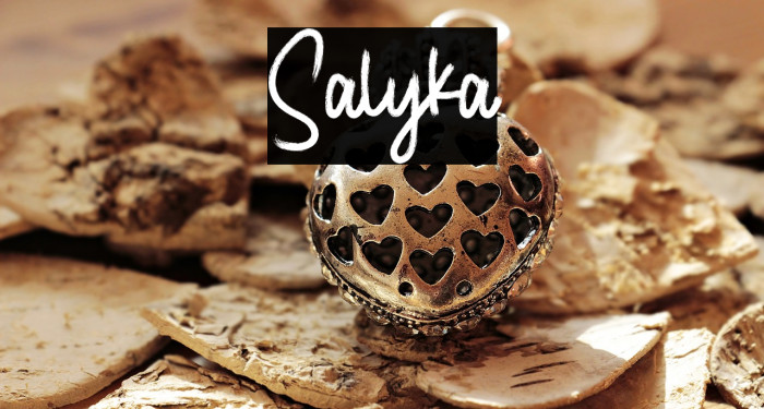 Salyka Example 1