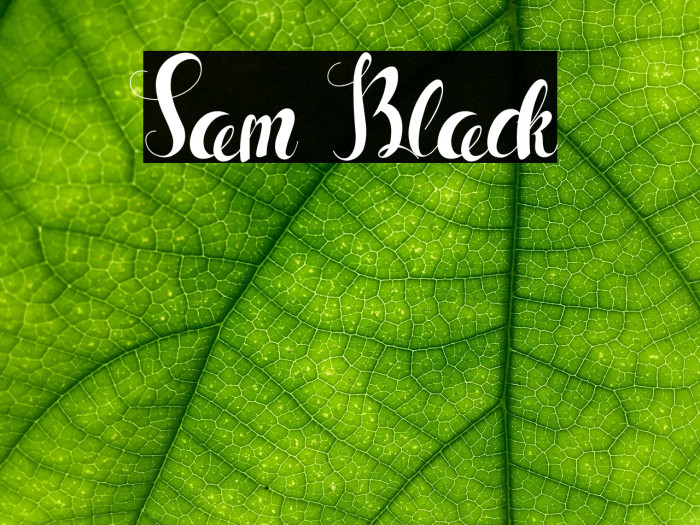 Sam Black Example 1