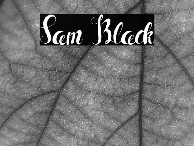 Sam Black Font examples