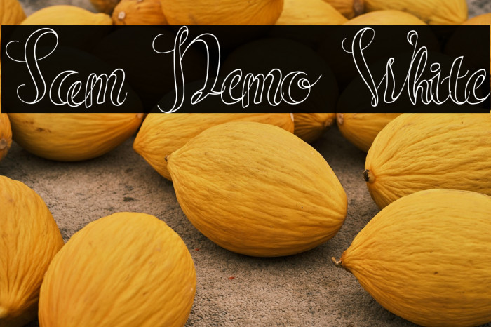 Sam Demo White Example 1