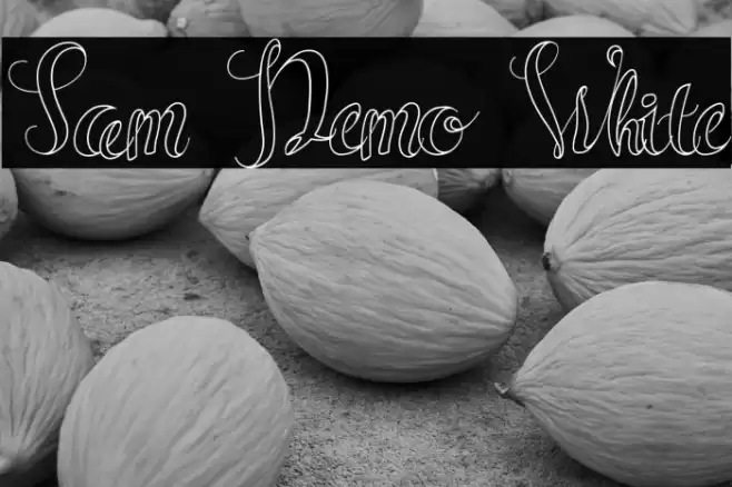 Sam Demo White Font examples