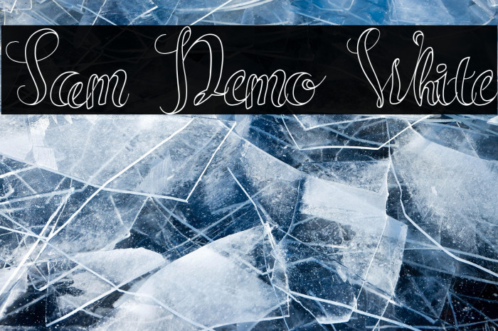 Sam Demo White Example 2