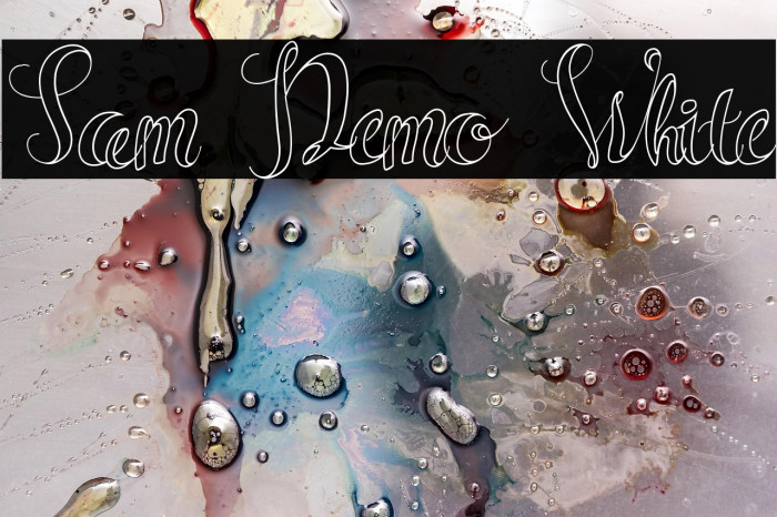 Sam Demo White Example 3