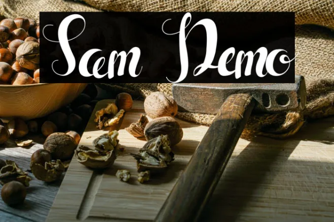 Sam Demo Example 1