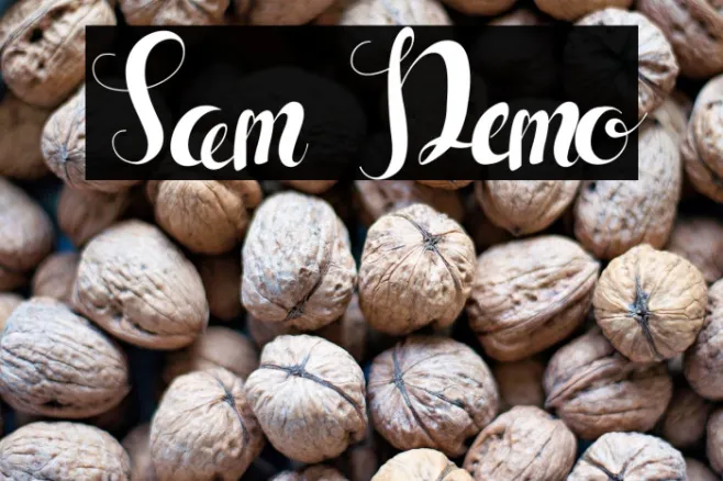 Sam Demo Example 2