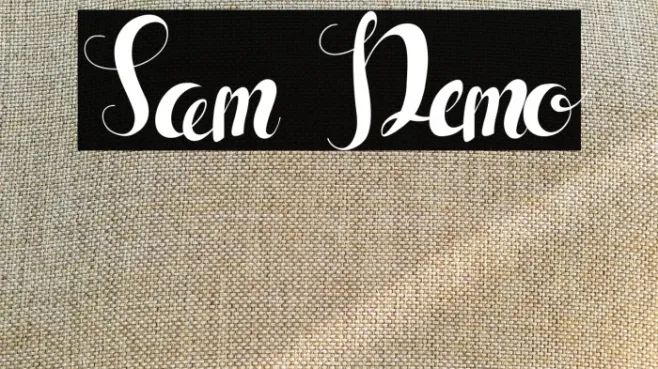Sam Demo Example 3