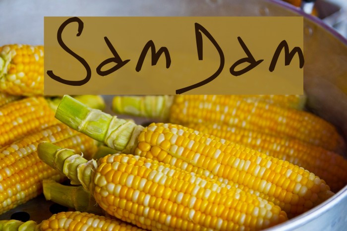 SamDam Font examples