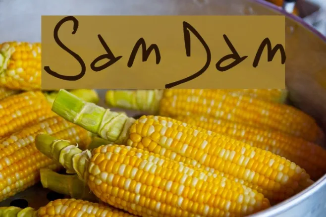 SamDam Example 3