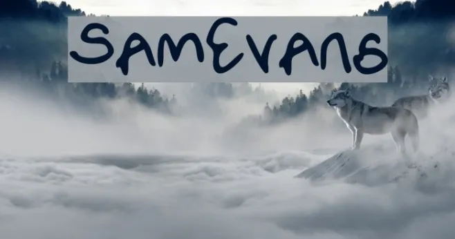 SamEvans Example 2