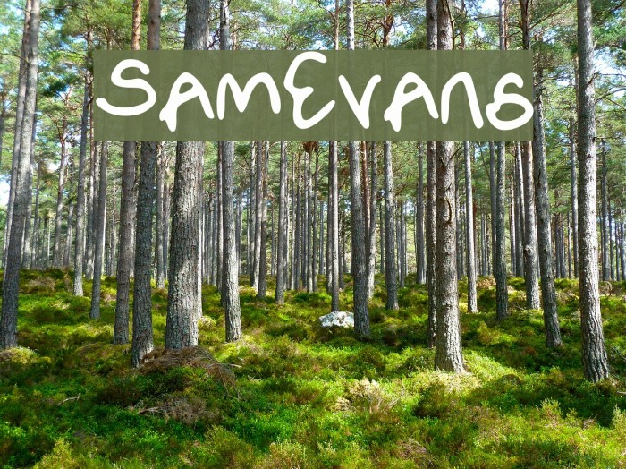 SamEvans Font examples